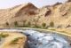 Al Ain Oasis Tour